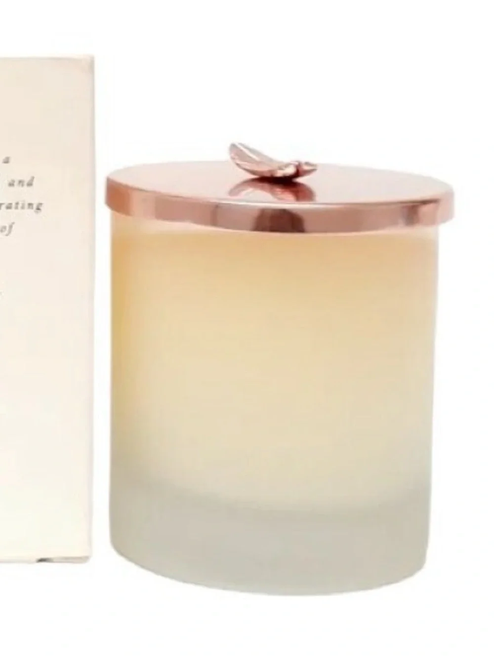 NEW Victoria’s Secret Dream Angels Heavenly candle